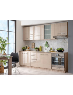 Element za kuhinju Diana 2