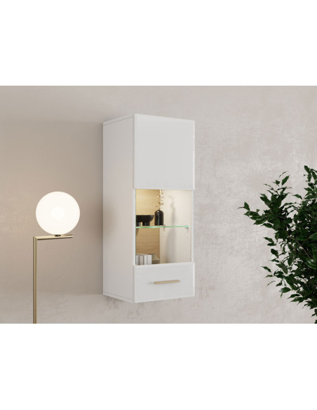 Vitrina Carlow 1KVS1