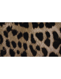 Tepih Praktika 170x240 2