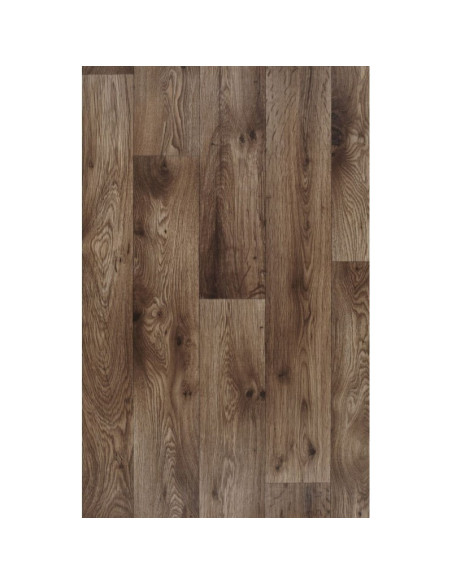 PVC Actual Plus 4M Cmaeo 3400