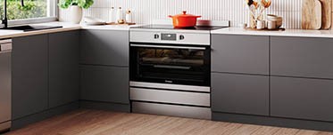 Pećnice i štednjaci